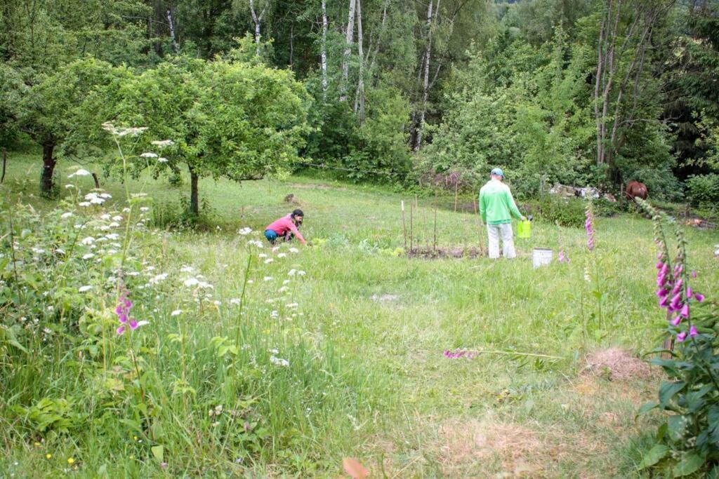 Enjoy Cozy Romance Hills Forest Gardens Views Sauna Whirlpool Bath Jablonné v Podještědí エクステリア 写真