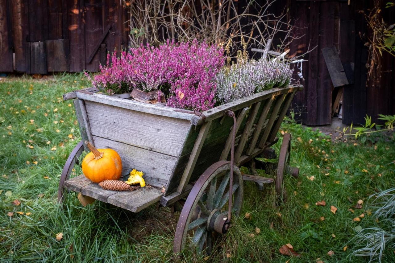 Enjoy Cozy Romance Hills Forest Gardens Views Sauna Whirlpool Bath Jablonné v Podještědí エクステリア 写真